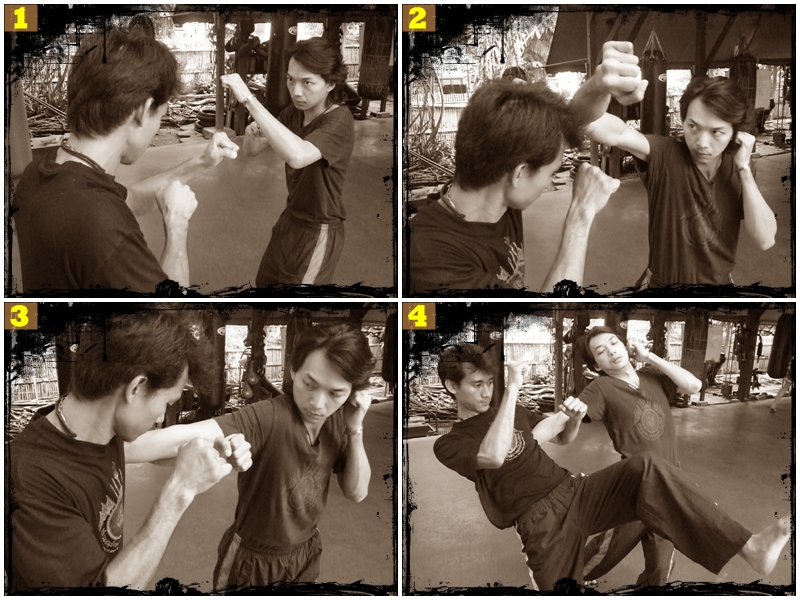 martial arts academy