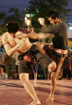 เรียนศิลปะการต่อสู้